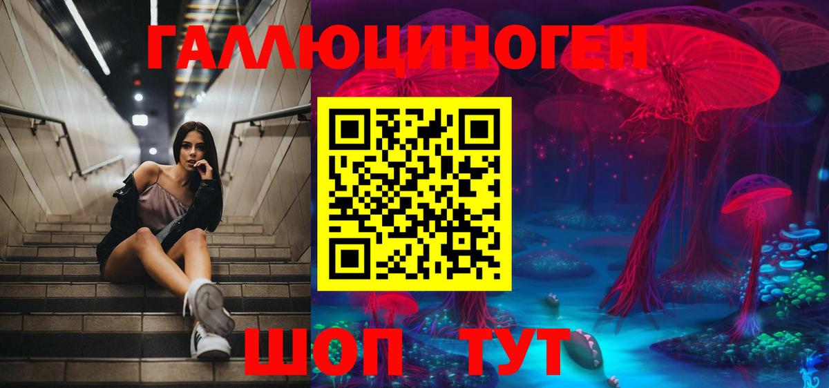 дарнет шоп  Мыски  Псилоцибиновые грибы Psilocybine cubensis 