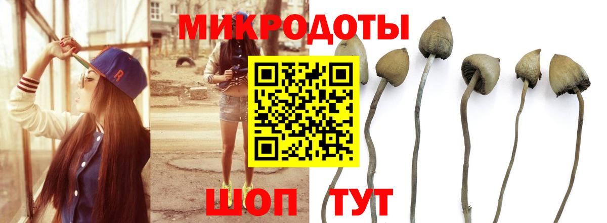 Галлюциногенные грибы MAGIC MUSHROOMS Мыски