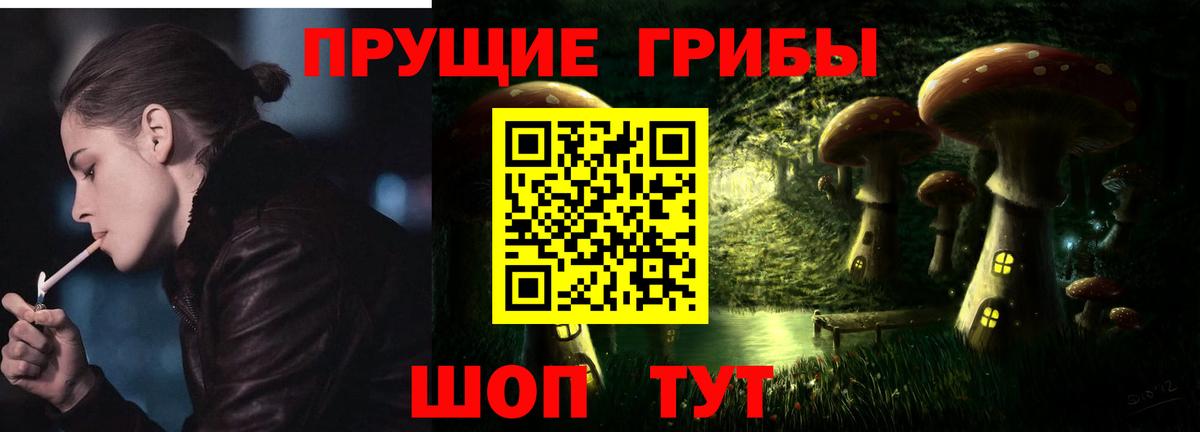 Псилоцибиновые грибы Psilocybine cubensis Мыски